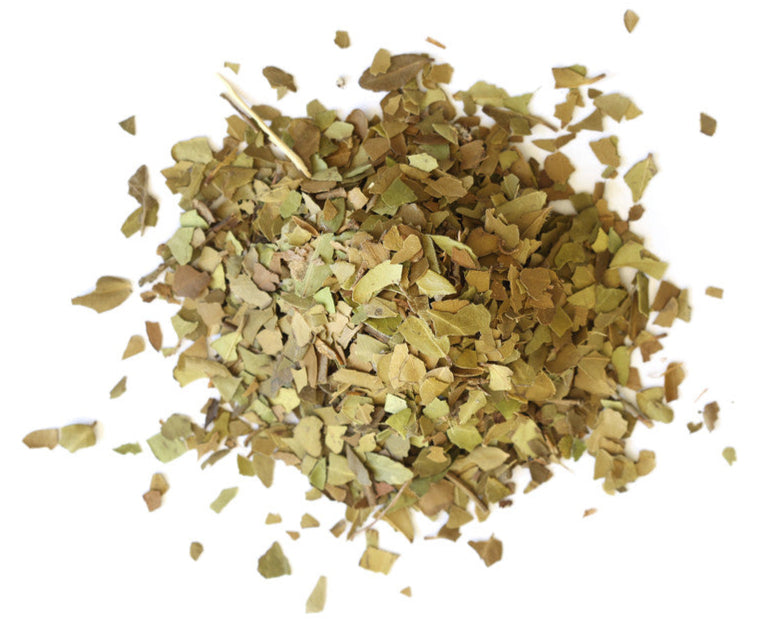 Medium Roast Yaupon Herbal Tea