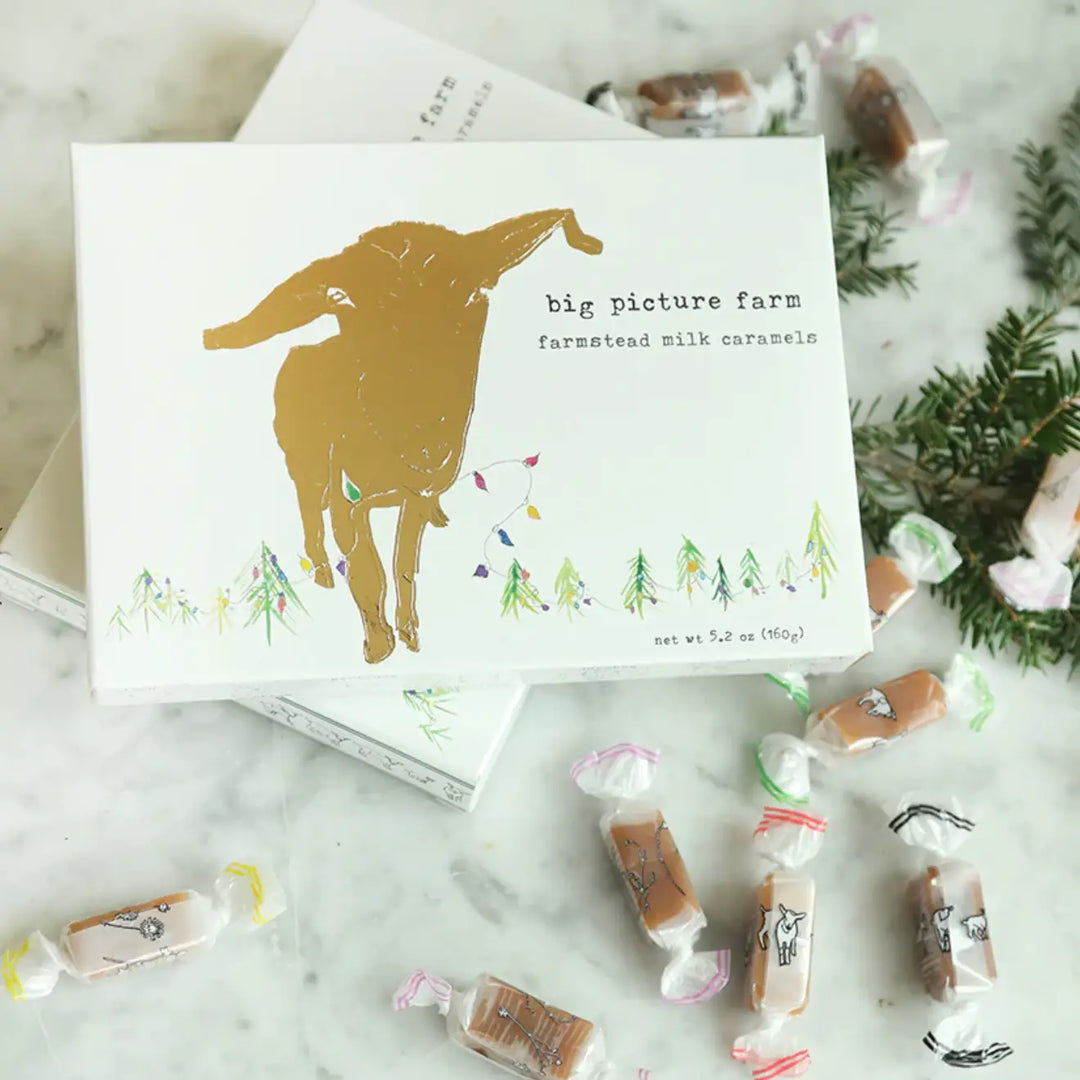 Golden Holiday Goat Milk Caramel Gift Set