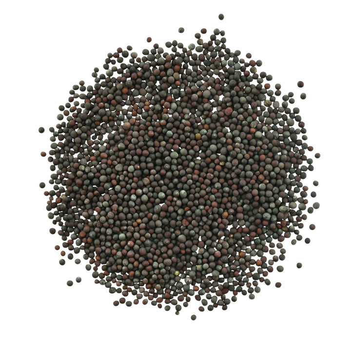 Mustard Seeds - Organic Brown - Sullivan Street Tea & Spice Company