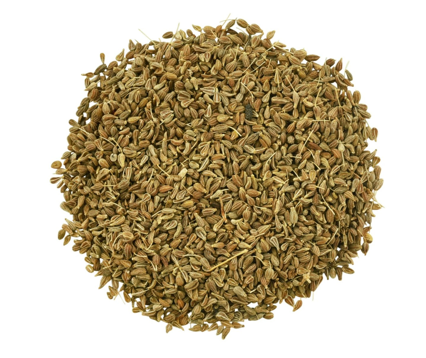 Anise Seeds - Sullivan Street Tea & Spice Company