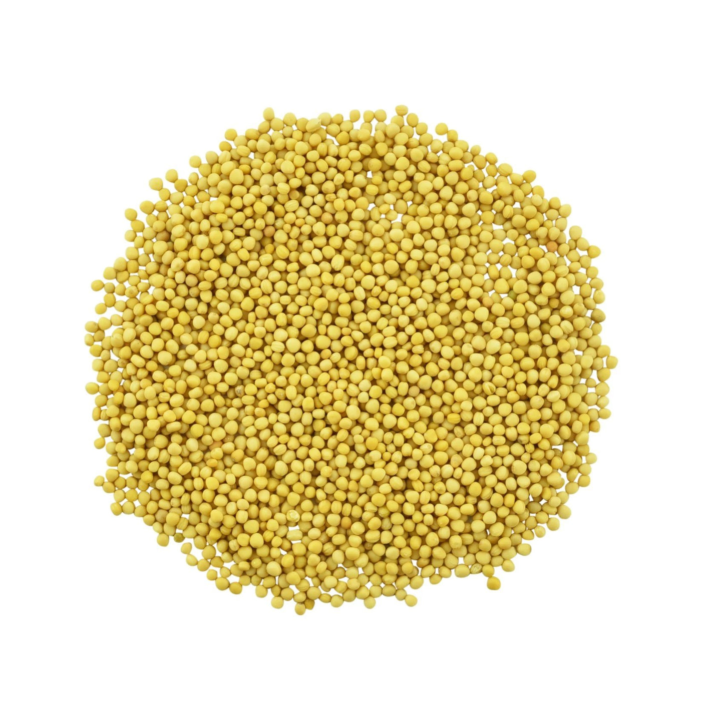 Mustard Seeds - Organic Yellow - Sullivan Street Tea & Spice Company