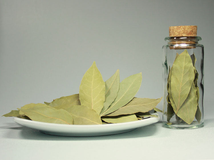 Bay Leaf - Whole - Sullivan Street Tea & Spice Company