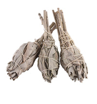 Palo Santo "Holy Wood"