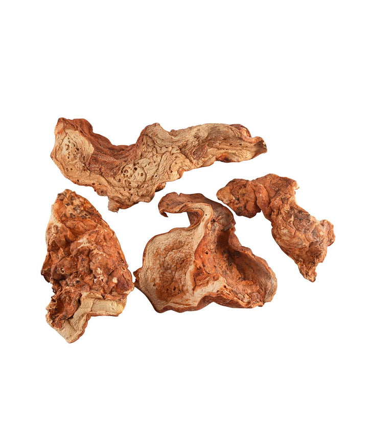 Wild Lobster Mushrooms - Sullivan Street Tea & Spice Company