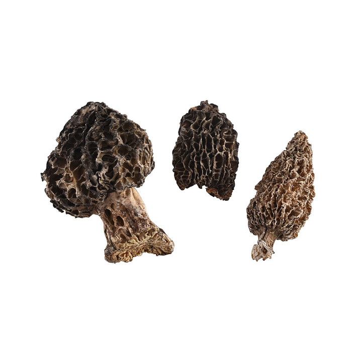 Wild Morel Mushrooms - Sullivan Street Tea & Spice Company