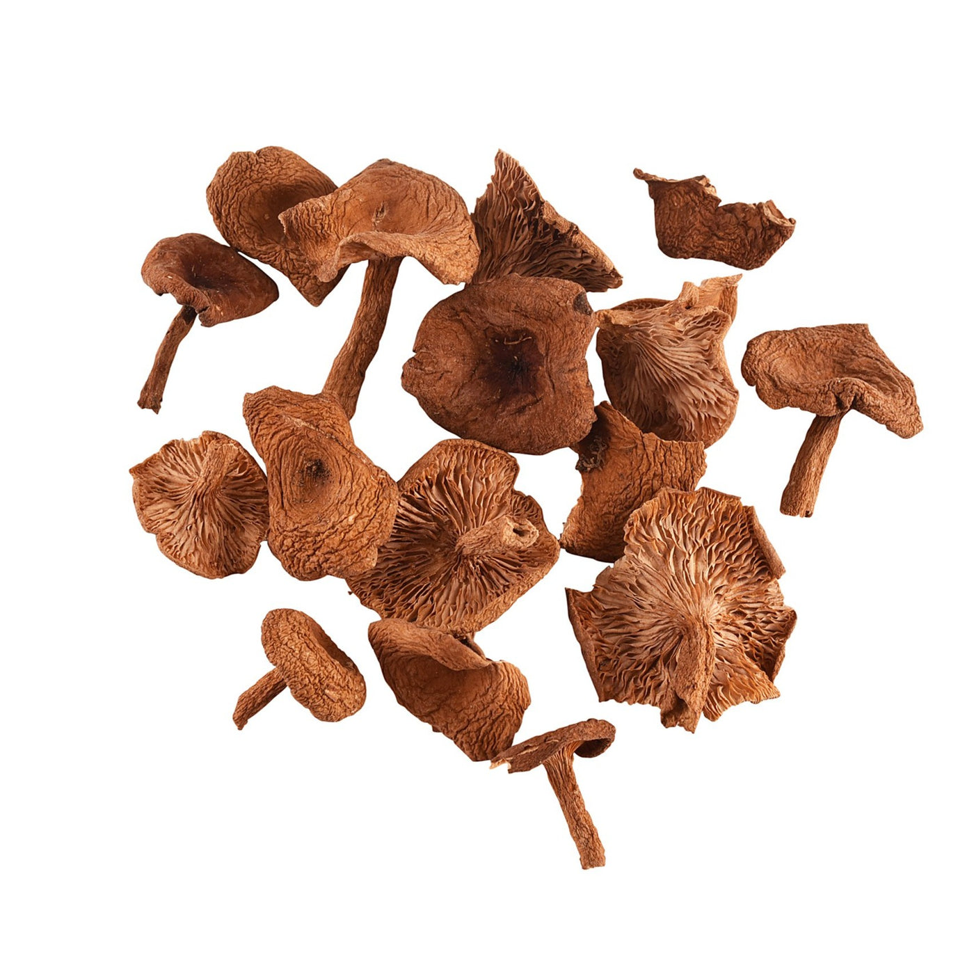Wild Candy Cap Mushrooms - Sullivan Street Tea & Spice Company