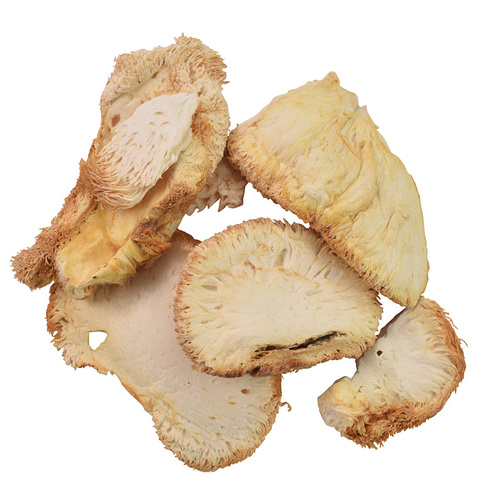 Wild Lion's Mane Mushrooms - Sullivan Street Tea & Spice Company